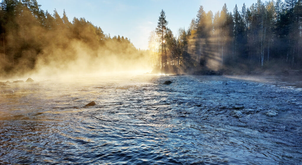 Vattendraget ångar i solnedgången
