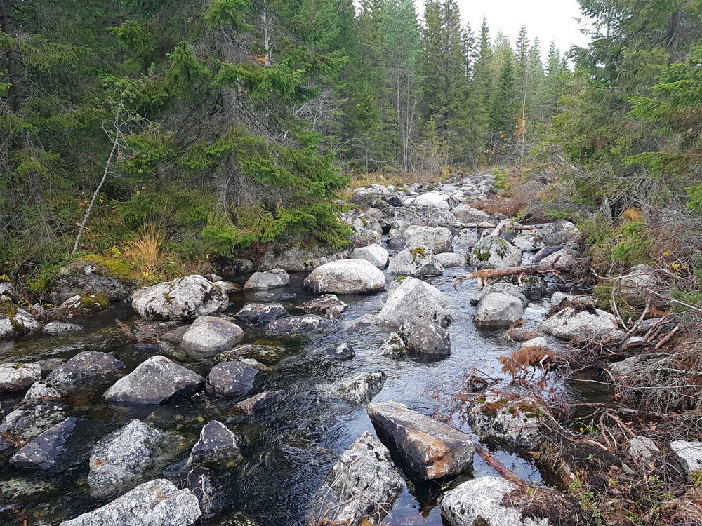 Restaurerad sträcka i Börjesån.