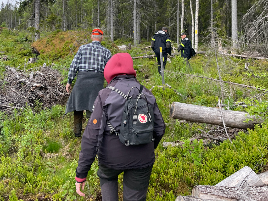 Personer ute på vandring i skogen
