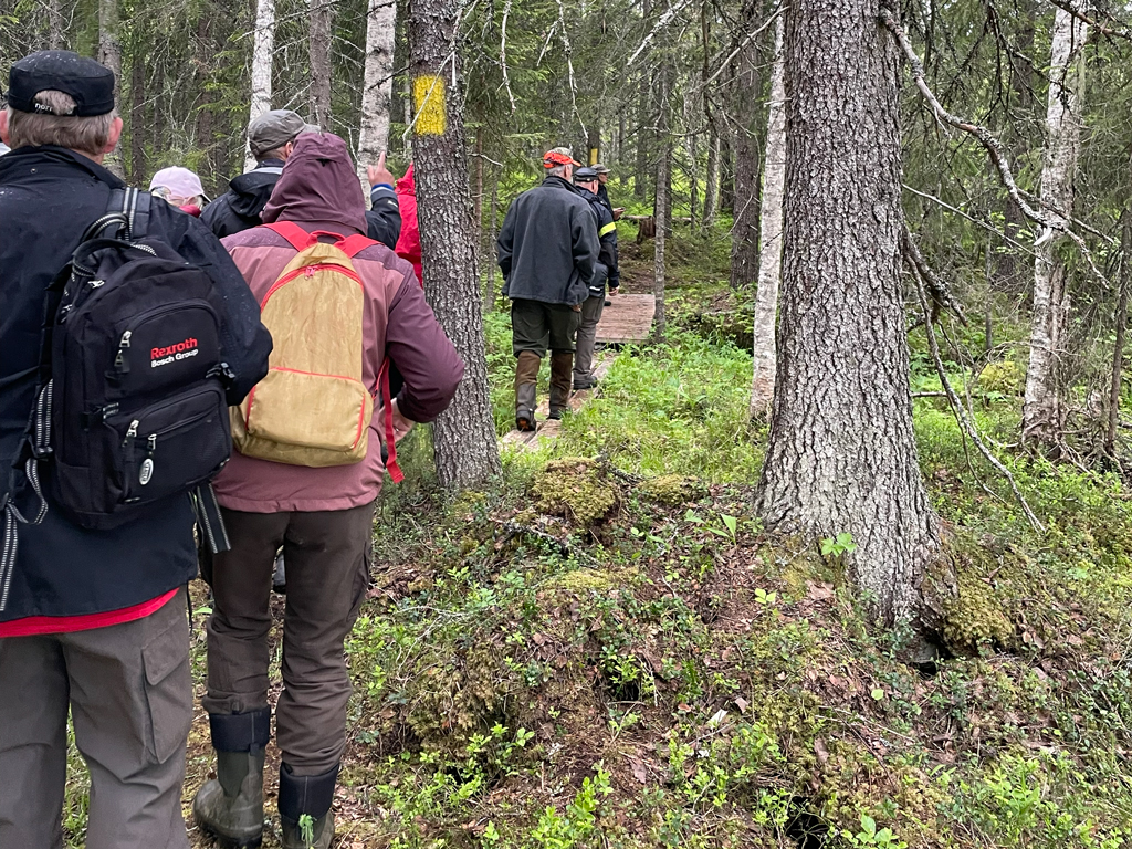 Personer ute på vandring i skogen
