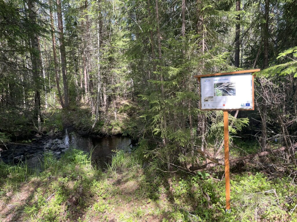 Skogsområde med en skylt