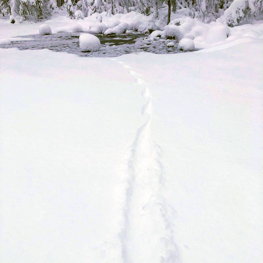 Utterspår i snö på en sjö.